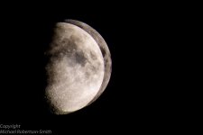 Moon Motion-0273.jpg