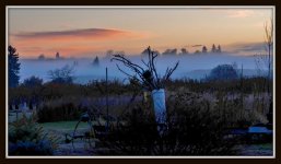fog2 013.jpg