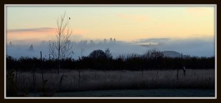 fog2 032.jpg