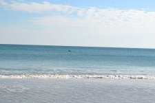 DSC_0326.jpg