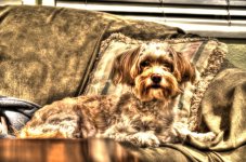 DSC_0010_tonemapped.jpg