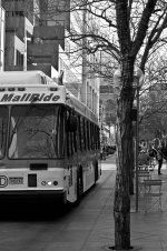 20131113-tram 1.jpg