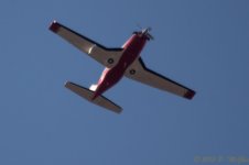 DSC_5388.jpg