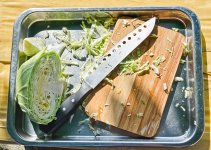 cabbage-1.jpg