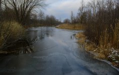 DSC_7507.jpg