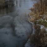 DSC_7516.jpg