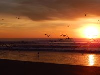 DSCN0834.jpg