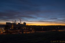 DSC_5434.jpg