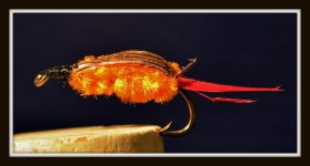 bugs 024.jpg