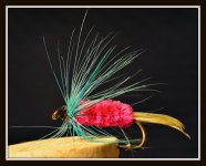bugs 028.jpg
