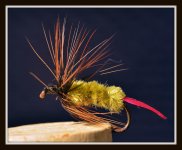 bugs 029.jpg