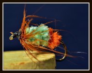 bugs 032.jpg