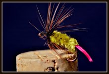 bugs 034.jpg