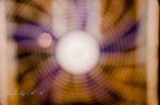 20131112-_1RB0556.jpg