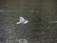 DSCN8956.jpg