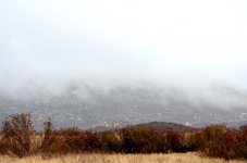 Nov 16th 2013 033.JPG
