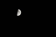 Nov 14th 2013_1 339.JPG