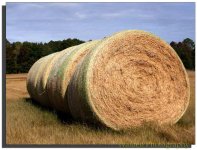 Hay Bales.jpg