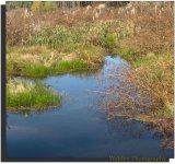 Reflections 3.jpg