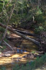 Brushy Creek.jpg