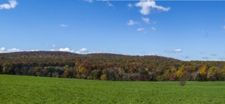 Lyman2_77_78_Pan2.jpg