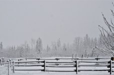 NIK_8159.jpg