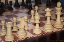 DSC_9307.jpg