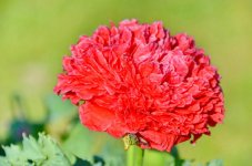 DSC_7576.jpg