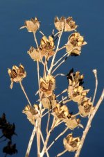 DSCN9109.jpg