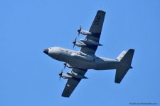 DSC_8733.jpg