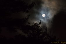DSC_5510.jpg