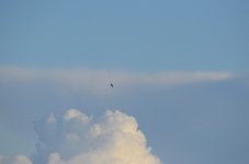 DSC_3883.JPG