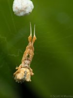 SHM_5105.jpg