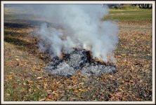 BURN 065.jpg
