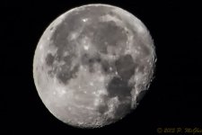 DSC_5542-Edit.jpg