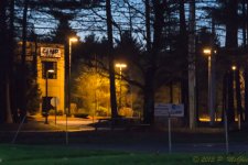 DSC_5548.jpg