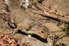 DSC_5560.jpg