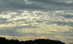 DSC_2663.JPG