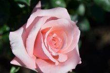 DSC_7494.jpg