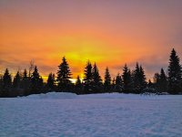 IMG_1333.jpg