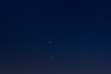 _D805029-Edit.jpg