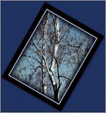 2013-11-21 TREE21.jpg