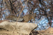 DSC_5579.jpg