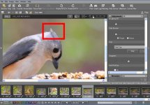 focus_point_01.jpg