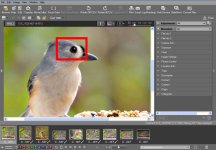 focus_point_02.jpg