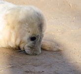 DSC_4395.jpg