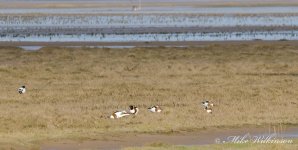 DSC_4543.jpg