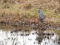 DSCN9222.jpg