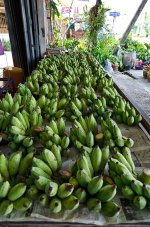 lotsbananas-1.jpg