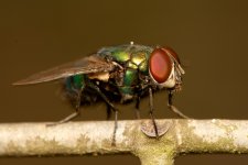 DSC_3562.jpg